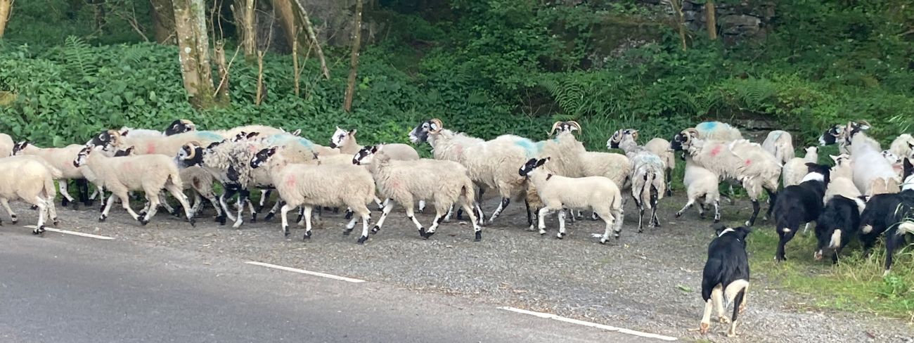Scenic view of the Yorkshire Dales