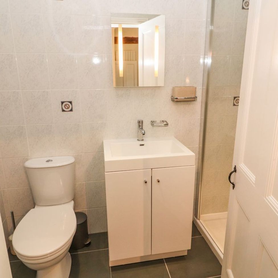 A bathroom with a toilet sink cabinet mirror and shower behind a door at Roger Pot in Garsdale near Sedbergh
