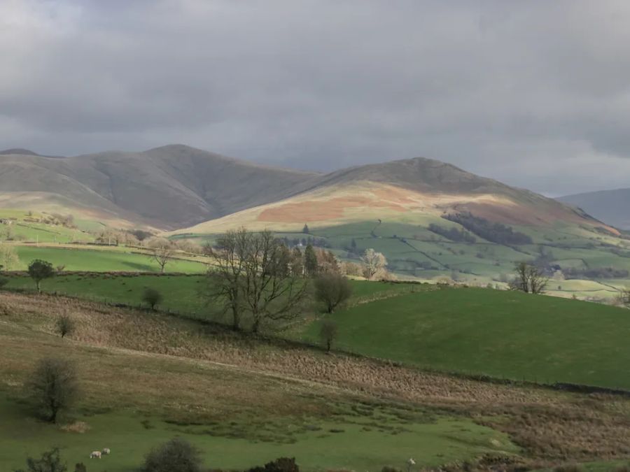 A countryside landscape with rolling hills fields trees and sheep at The Old Cart House in Garsdale near Sedbergh