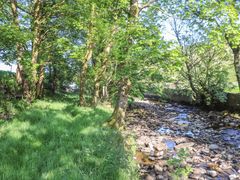 A grassy area with trees next to a rocky stream at Roger Pot in Garsdale near Sedbergh