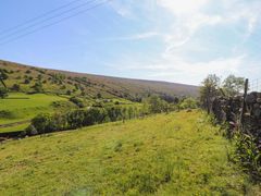 A grassy hillside with scattered trees and a stone wall at Roger Pot in Garsdale near Sedbergh
