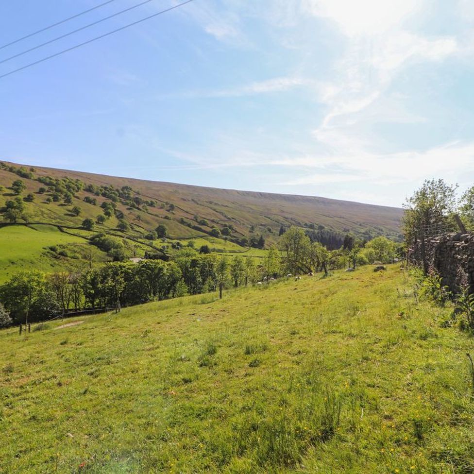 A grassy hillside with scattered trees and a stone wall at Roger Pot in Garsdale near Sedbergh