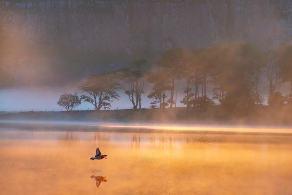 Settle to Stainforth