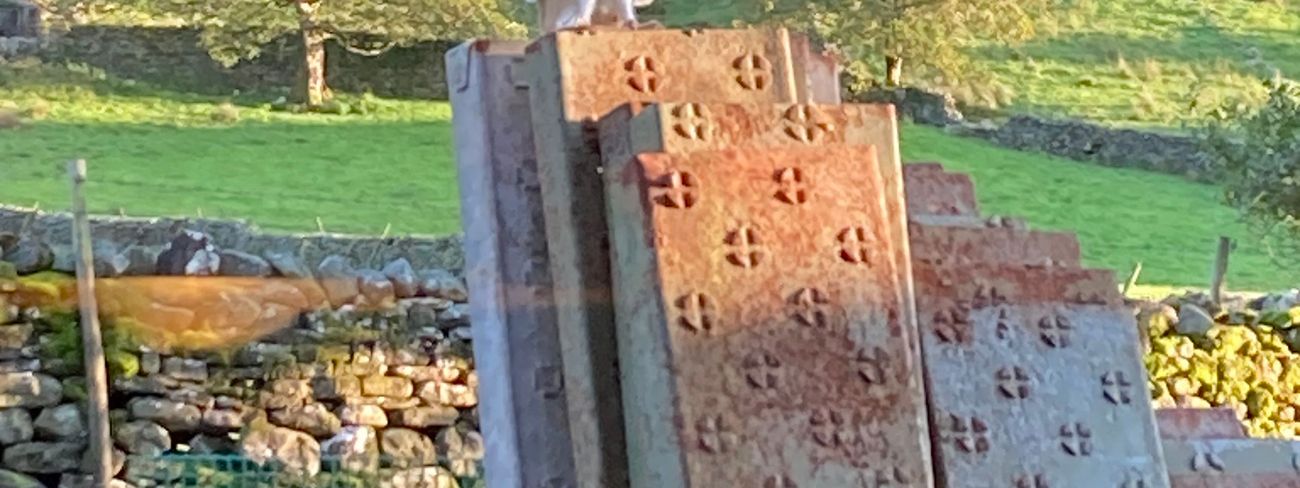 Owl in Garsdale, Yorkshire Dales