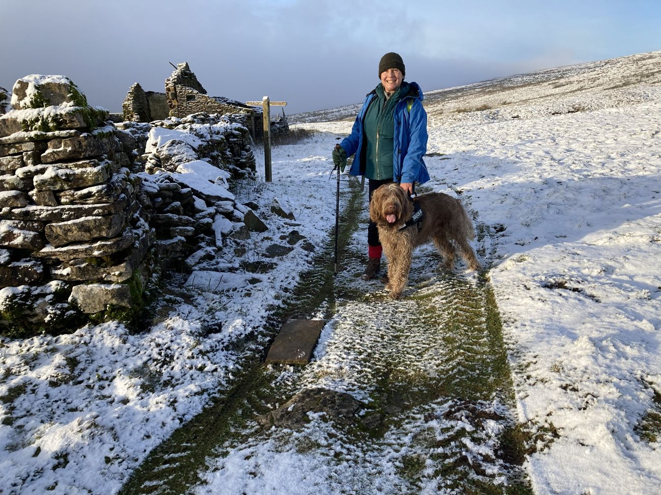 A smiling woman in winter walking gear with a shaggy brown dog on a snowy Dales track beside a dry-stone wall