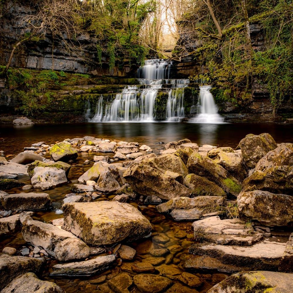 Cotter Force
