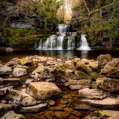 Cotter Force
