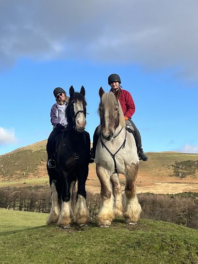 Cumbrian Heavy Horses