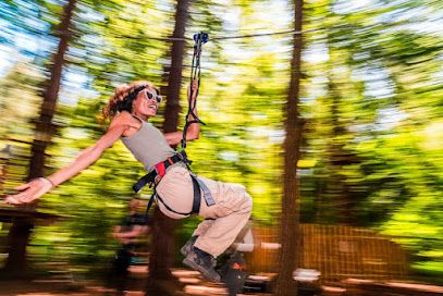 Go Ape Grizedale