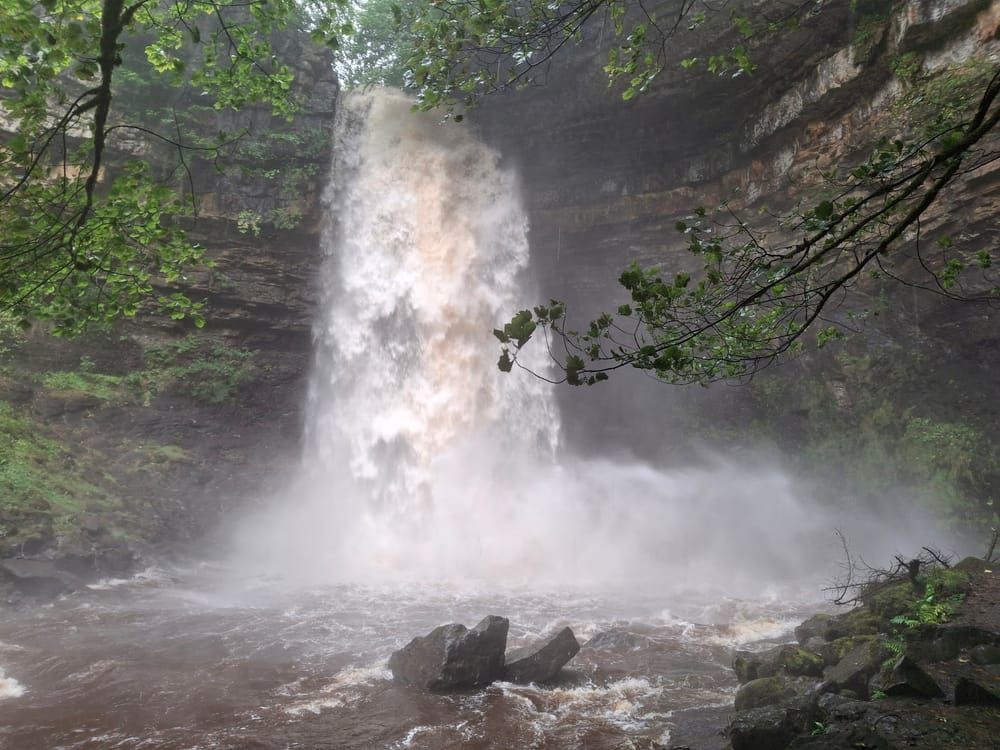 Hardraw Force