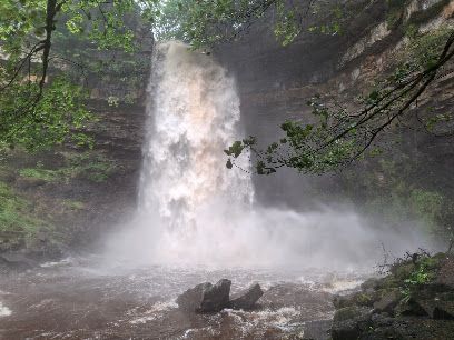 Hardraw Force