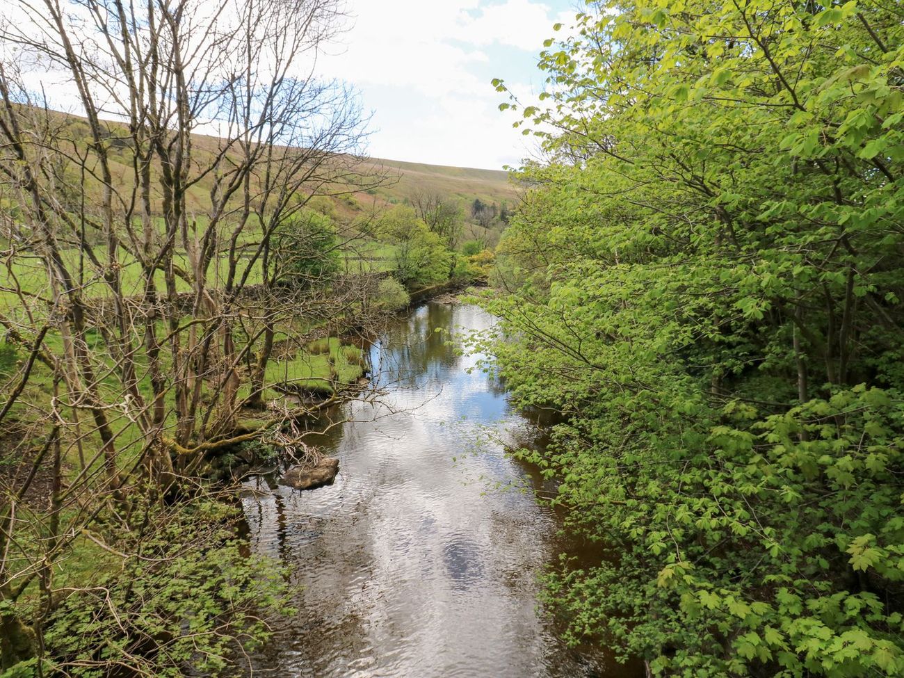 The River Clough running between wooded banks below Garsdale, with the open fell rising behind