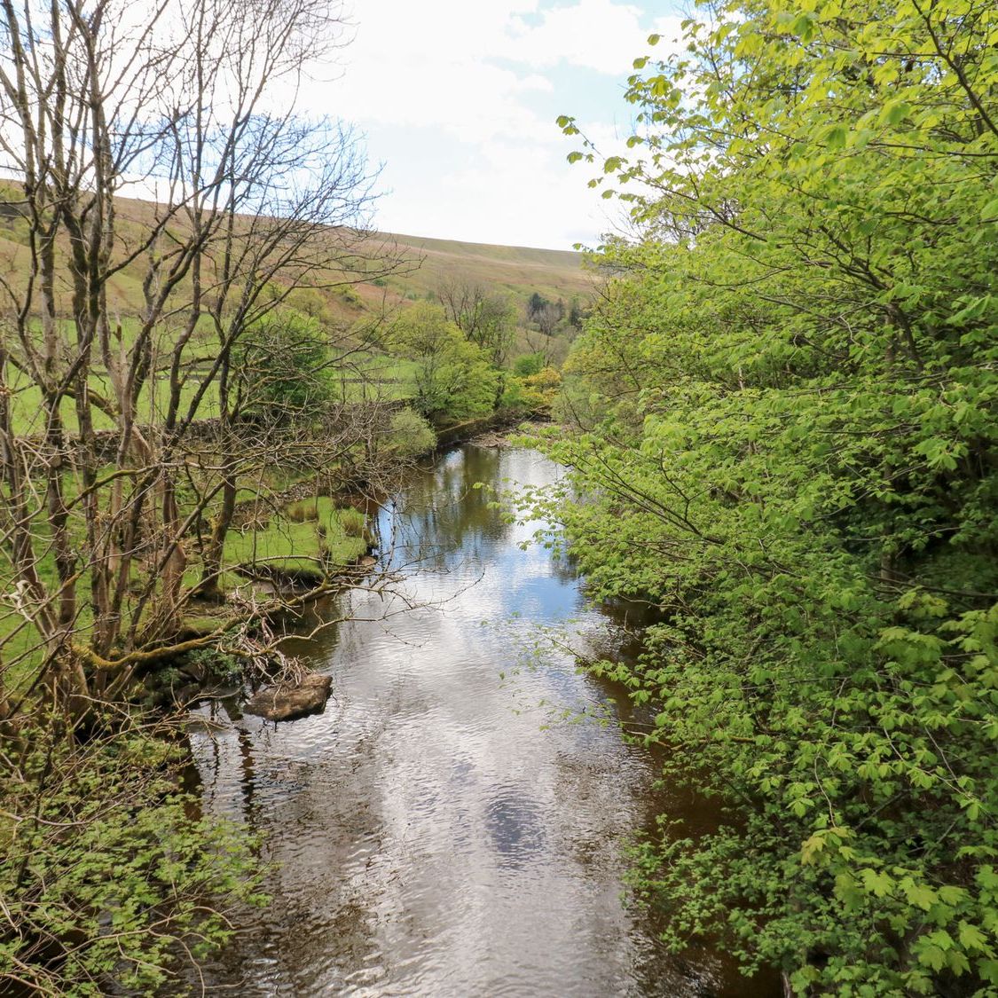 The River Clough running between wooded banks below Garsdale, with the open fell rising behind