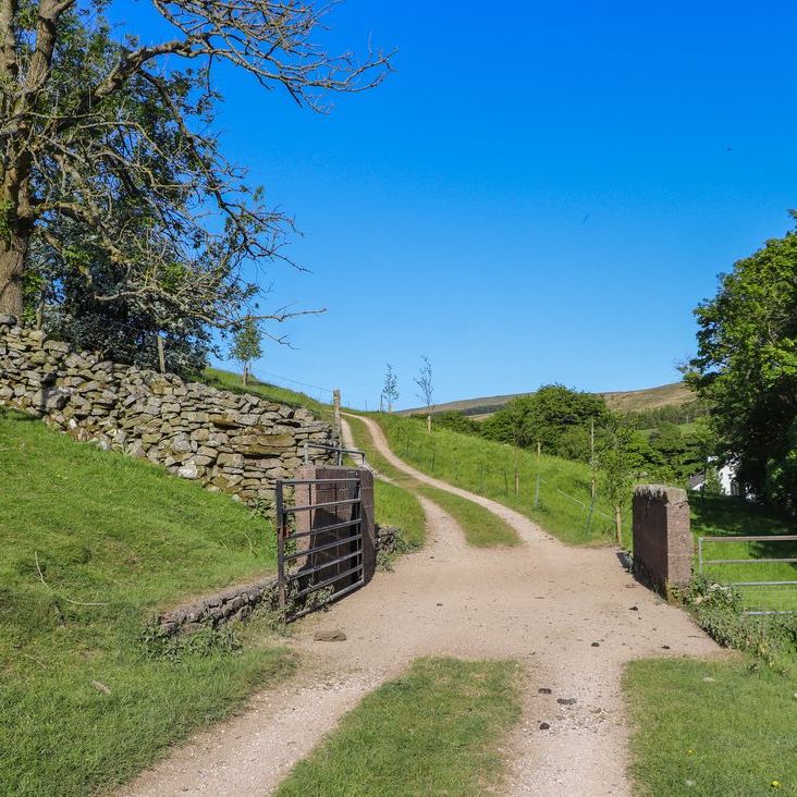 A sunlit unpaved track climbing through a gateway between dry-stone walls and green fields at Roger Pot