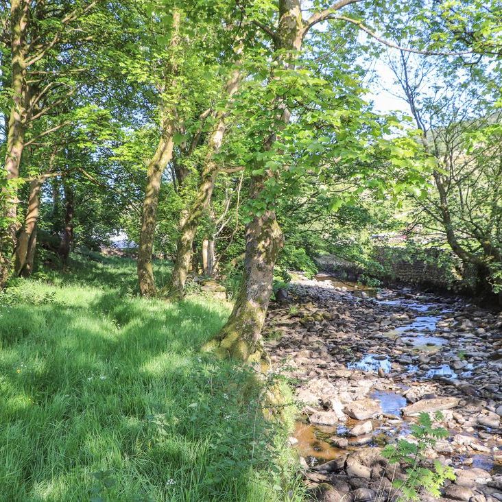 A shallow rocky stream beside a grassy, tree-lined bank in the grounds at Roger Pot