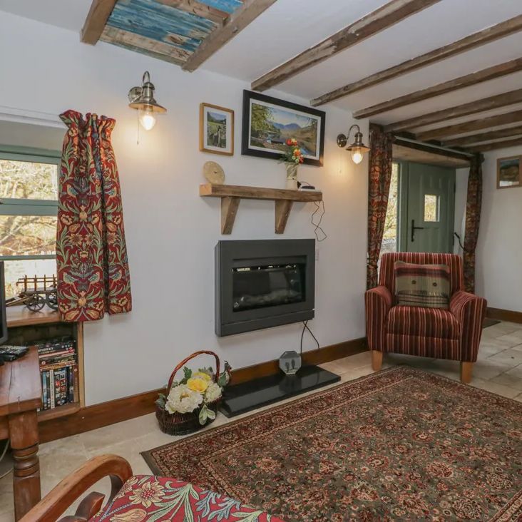 A country living room at The Old Cart House with a wood-burner, red striped armchair, patterned rug and TV