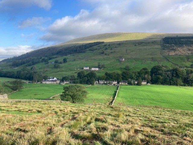 A green Dales valley with stone farm buildings, dry-stone walls and a wooded hillside under a blue sky