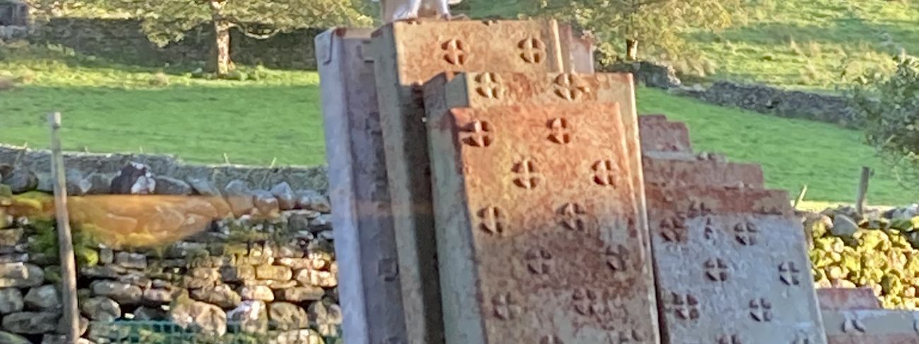 Owl in Garsdale, Yorkshire Dales